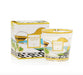 Baobab Collection Max 8 My First Baobab Candle - Homebody Denver