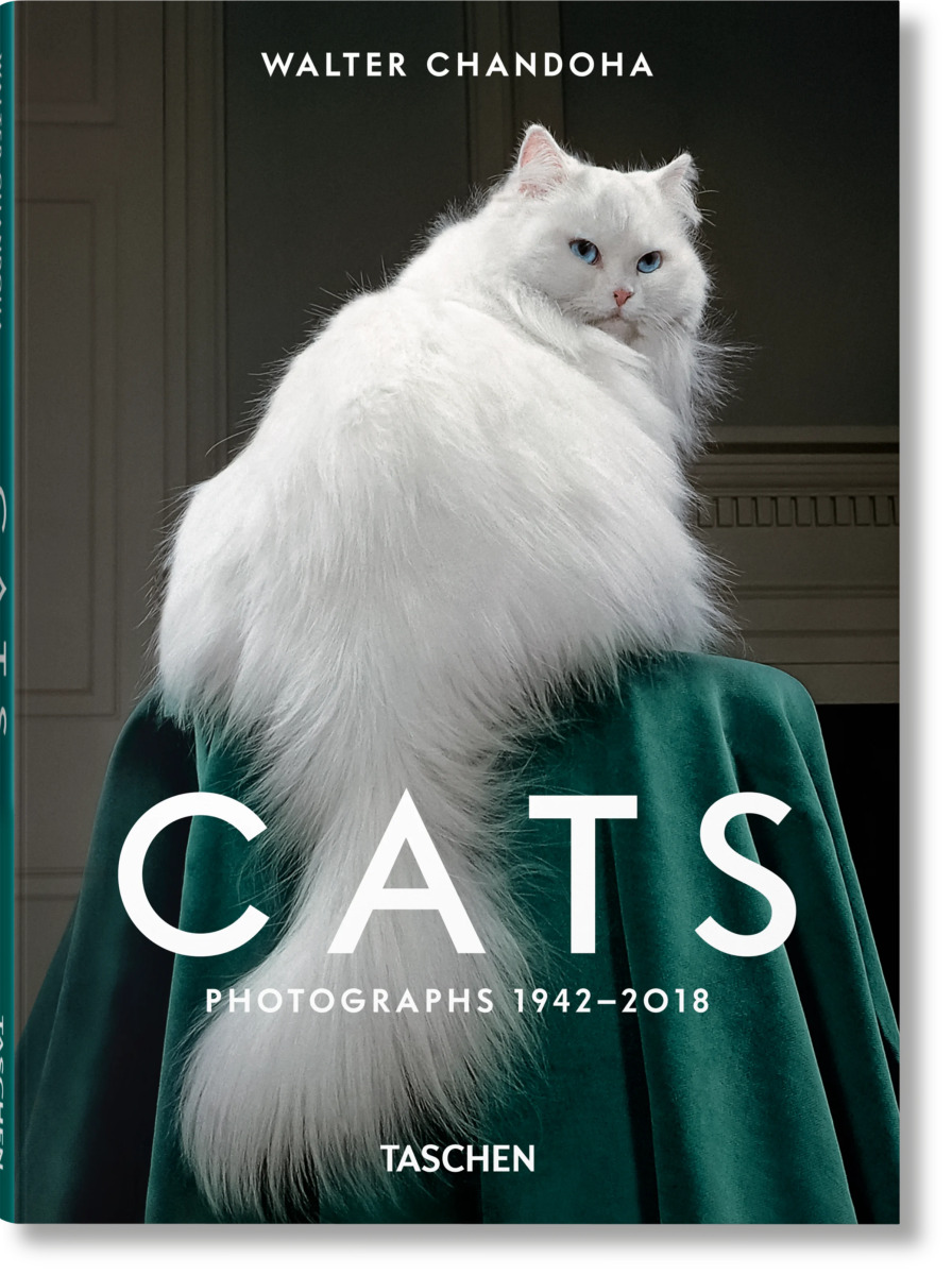 Cats Photographs 1942 - 2018 - Homebody Denver