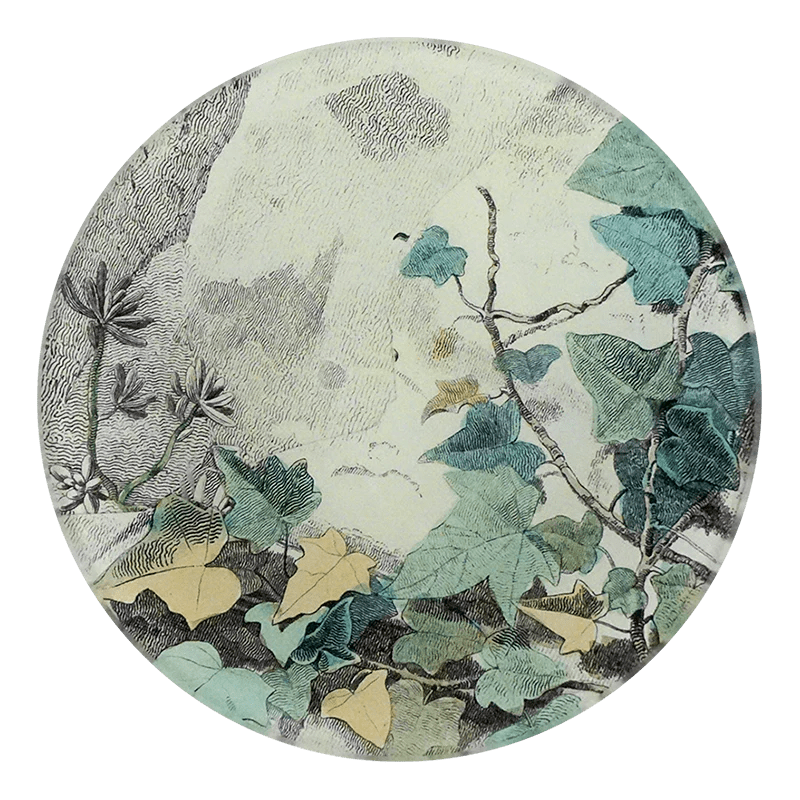 John Derian Round Decoupage Plate 4" - Homebody Denver