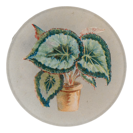 John Derian Round Decoupage Plate 4" - Homebody Denver